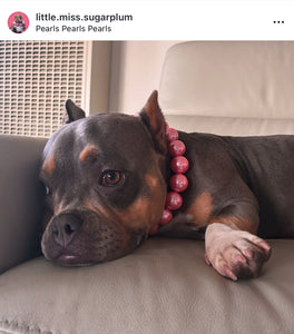 Chunky Bubblegum Pink Pearls Acrylic Bead Collar