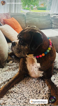 Load image into Gallery viewer, Groovy Bead Collar