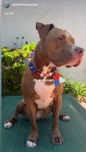 Load image into Gallery viewer, Firecracker ⭐️ Bead Collar