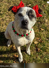 Load image into Gallery viewer, Christmas Frost Bead Collar