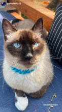 Load image into Gallery viewer, Cayman Blue Swirl XS Acrylic [Small Dog/Cat Bead Collar]