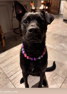 Berry Deluxe Glam ✨  Bead Collar