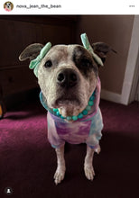 Load image into Gallery viewer, Aquamarine Acrylic Bead Collar