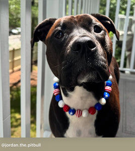 Americana Glam Bead Collar