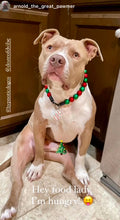 Load image into Gallery viewer, Christmas Frost Bead Collar