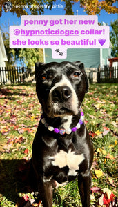 Purple Glitz Bead Collar