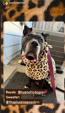Load image into Gallery viewer, Pink Ombre Leopard Bead Collar