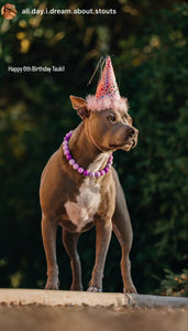 Purple Ombre Acrylic Bead Collar