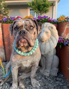 Sky Blue Rain Triplo Acrylic Bead Collar