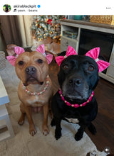 Load image into Gallery viewer, 💗 Pink &amp; Cream Sweetheart 💗 Bead Collar