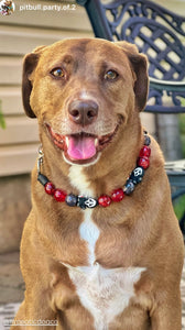 Scream Street Halloween Bead Collar