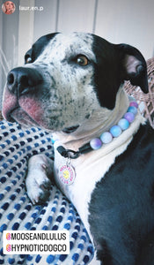 Bubblegum Tie Dye Acrylic Bead Collar