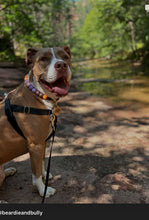 Load image into Gallery viewer, Citrus Berry Glam Bead Collar