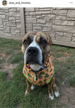 Load image into Gallery viewer, Velvet Autumn Bead Collar