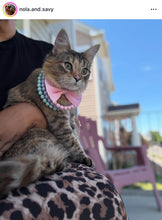 Load image into Gallery viewer, Extra Tiny (XS) Triplo Cotton Candy [Small Dog/Cat Bead Collar]