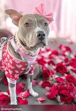 Load image into Gallery viewer, Pink Carnation Bead Collar