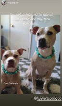 Load image into Gallery viewer, Caribbean Bead Collar