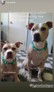 Caribbean Bead Collar