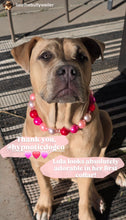 Load image into Gallery viewer, Chunky Valentine Pearls Acrylic Bead Collar
