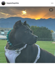 Load image into Gallery viewer, Teal Swirl Acrylic Bead Collar