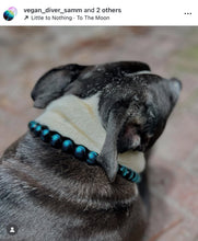 Load image into Gallery viewer, Blue Spark Bead Collar