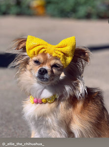 Akira's Pink Lemonade 🩷🍋 MINI [Small Dog/Cat Bead Collar]