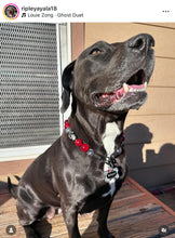 Load image into Gallery viewer, Scream Street Halloween Bead Collar