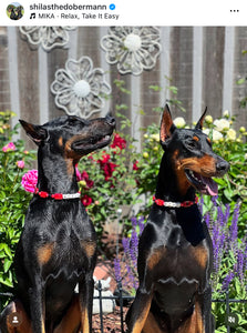 Red Blackjack Acrylic Bead Collar