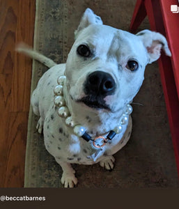 Chunky White Pearls Acrylic Bead Collar