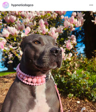 Load image into Gallery viewer, Blush Pink Rain Triplo Acrylic Bead Collar