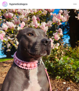 Blush Pink Rain Triplo Acrylic Bead Collar