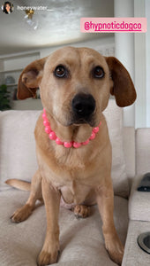 Watermelon Rain [Scuffed] Acrylic Bead Collar