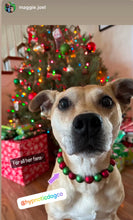 Load image into Gallery viewer, Christmas Frost Bead Collar