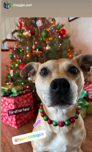 Christmas Frost Bead Collar
