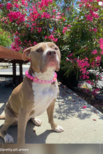Load image into Gallery viewer, PERSONALIZED Pink Daisy Bead Collar