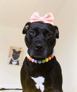 Pastel Rainbow Acrylic Bead Collar