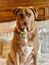 Load image into Gallery viewer, 🍬 Tutti Frutti Candy Bead Collar - SALE