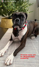 Load image into Gallery viewer, Christmas Glam Bead Collar