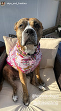 Load image into Gallery viewer, Pink Stars Bead Collar