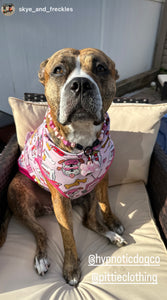 Pink Stars Bead Collar