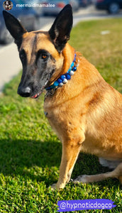 Blue Lagoon Acrylic Bead Collar