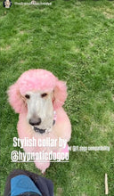 Load image into Gallery viewer, Pink Carnation Bead Collar