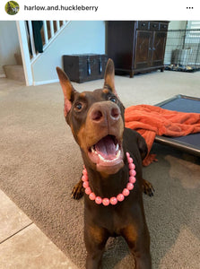 Watermelon Rain [Scuffed] Acrylic Bead Collar