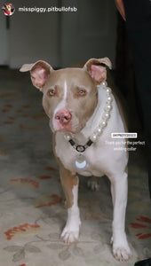 Chunky White Pearls Acrylic Bead Collar