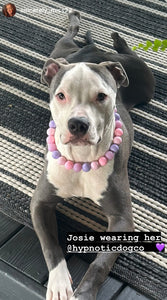 Pretty Princess Acrylic Bead Collar