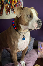 Load image into Gallery viewer, Buffalo Bills NFL Inspired 🏈 Bead Collar