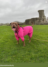 Load image into Gallery viewer, Neon Coral Acrylic Bead Collar