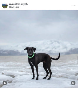 Minty Sage Acrylic Bead Collar - SALE