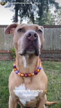 Load image into Gallery viewer, Velvet Autumn Bead Collar