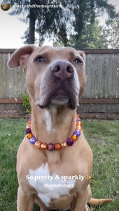 Velvet Autumn Bead Collar